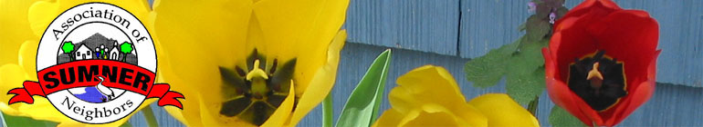 Sumner Association of Neighbors (SAN) roses
